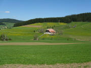 Blick nach Norden zum Schwabenhof am 11.5.2008