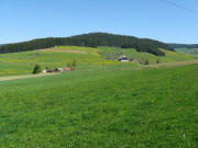 Blick nach Nordosten zum Schwabenhof am 11.5.2008 - rechts oben T�le