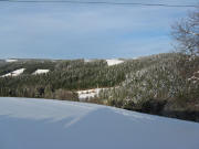 Blick vom B�rtelweg nach Norden �bers B�hlmetzgersh�usle zur Strasse Thurner-Neuh�usle am 15.3.2006
