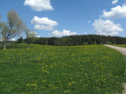 Blick nach Nordosten �bers Str��chen vom Schmittenbach hoch zum Willmen am 11.5.2008