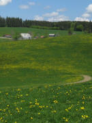 Blick nach Norden zum Hinteren Willmen am 11.5.2008