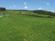 Blick nach Norden zum Theehof und Dengishof (oben Mitte) am 11.5.2008