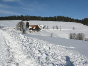 Blick nach Norden zum Theehof am 15.12.2008 mittags