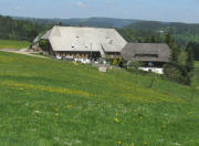 Blick vom nach Norden zum Vogelhof am 11.5.2008