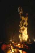 Weihnachtsbaums mit Feuerstelle am 16.12.2008