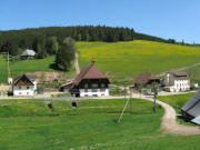 Blick nach Norden zum Weissershof am 13.5.2008 - L�wenzahn