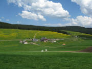 Blick vom Wendelsh�usle nach Norden zum Wendelhof am 13.5.2008