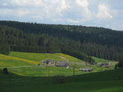 Blick nach Nordosten zum Z�hringerhof am 13.5.2008