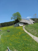 Blick nach Norden zum Z�hringerhof am 11.5.2008