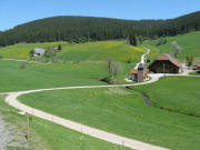 Blick vom Zipfelh�usle am 11.5.2008 nach Nordosten zu Schachenhof (rechts) und Z�hringerhof