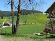 Blick vom Zipfelh�usle am 11.5.2008 nach Osten zum Schachenhof 