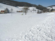 Blick vom Binsenh�usle nach Norden zum Binsenhof (rechts) und Fallerhof (oben links) am 3.2.2008
