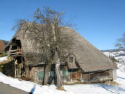 Der alte Ebene-Hof am 3.2.2008 - Blick nach Nordosten