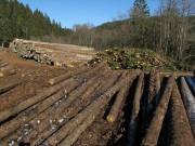 Blick nach Norden beim Blessinghof in Unterschollach am 17.2.2008