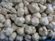 Knoblauch am 6.2.208