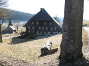 Blick nach S�dwesten zum Laulishof am 11.2.2008