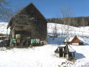 Blick vom Schwabenhof am 3.2.2008 nach Norden zu zwei Minis und einem Schopf