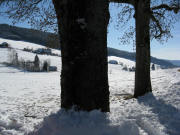 Blick vom Schwabenhof am 3.2.2008 nach S�den zum  Willmershof und Schafmeierhof