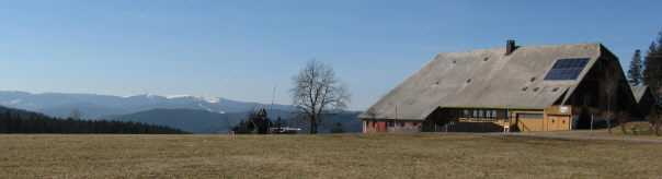 Blick vom Hochebenehof beim Russenkreuz nach S�den zum Feldberg am 11.2.2008