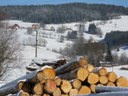 Tele-Blick nach Osten von Unterwirtshaus hoch nach Schw�rzenbach am 3.2.2008