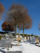Blick nach Norden im Waldauer Friedhof am 3.2.2008