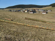 Blick vom Wendelsh�usle am 2.11.2008 nach Nordwesten auf Mittelschollach 