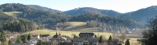 Blick nach Südosten über Unteribental-Wickenhof zu Wiesneck (Mitte) und Gummenwald (links) am 8.2.2008