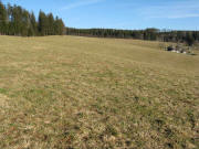 Blick nach Osten zum Potsdamer Platz ob St.Peter am 10.2.2008