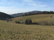 Blick nach Westen �ber den Willmen zum Kandelberg am 10.2.2008