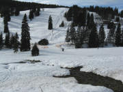 Blick nach S�den zum Zellerhang am 11.1.2008