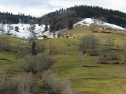 Blick nach Westen hoch zu Aftersteg-Hasbach am 11.1.2008