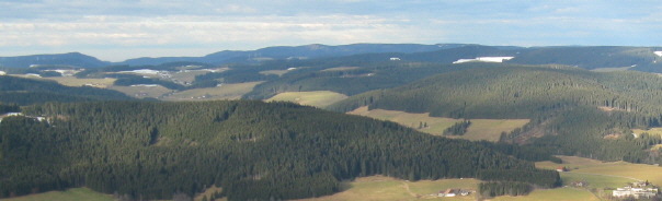 Blick vom Hochfirst am 11.1.2008 nach Norden zum Jostal - langgestreckt von Neustadt-Krankenhaus rechts bis ganz links hoch 
