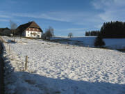 Blick nach Osten zum Ilbenhof in Neukirch am 8.1.2008