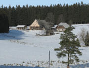 Blick nach Norden zu den Leimgrubenh�fen am 8.1.2008