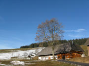 Blick nach Norden zum Lorenzenhof am 8.1.2008