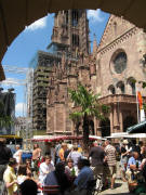 Blick von der Alten Wache mit Palmen zum Münsterturm am 28.6.2008