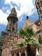 Blick von der Alten Wache mit Palmen zum M�nsterturm am 28.6.2008