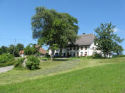 Blick nach Nordwesten zum Adler in Amrigschwand am 25.7.2008