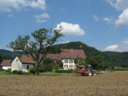 Blick nach Norden zum Breitehof am 29.7.2008