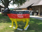 Die "Faire Milch"-Kuh am Breitehof 29.7.2008