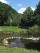 Blick nach Norden �ber die Dreisam zum Ebneter Schlosspark am 16.7.2008