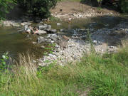 Dreisam zwischen Hirzbergsteg und Sandfang: Baden am 30.7.2008