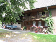 Blick nach Nordwesten zum Vogthof am 29.7.2008 - alte Linde