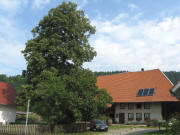 Blick nach Norden am 29.7.2008 zum H�ttichenhof an der ehem. B31