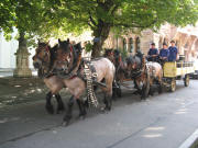 Ganter-Kutsche vor dem Erzbischofsitz in der Herrenstrasse am 30.7.2008