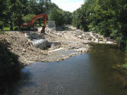 Blick zur Dreisam nach Westen am Sandfang am 16.7.2008