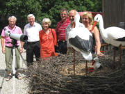 Gustav Danzeisen, Dietrich Burger, Gerlinde Danzeisen, Gustav Bickel, Hagen Sp�th und Susanne Wolf von SOS Wei�storch am 3.8.2008 in Ebnet