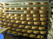 Käse im Till-Hof am 23.7.2008, ein Genuß auch für das Auge - wenn Sie diese Käsepracht riechen könnten .... 