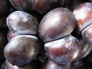 Zwetschgen-Zwillinge am 30.7.2008 bei Kiener auf dem M�nstermarkt