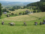 Blick nach Norden �ber den Dobelpeterhof ins Dreisamtal am 23.6.2008